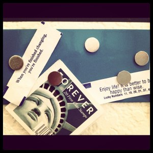 10313567_10152093373758994_1727976543877594457_n